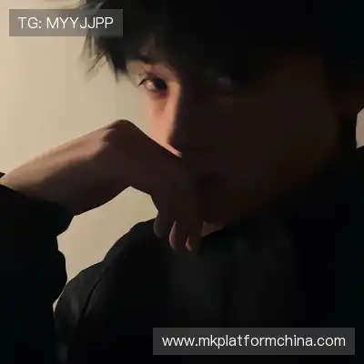 嵇蒙飚